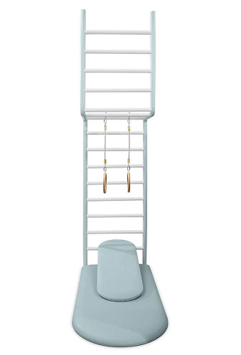 Wonderland Play Ladder