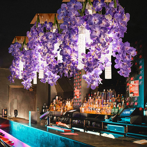 Vanda Square Chandelier