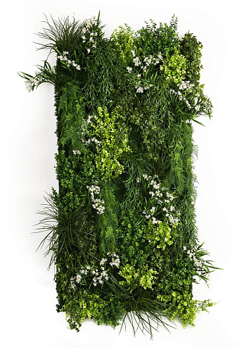 Meleda Outdoor Greenery Wall Composition