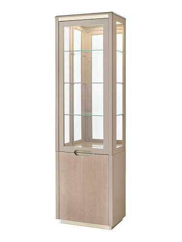 Single-Door Display Cabinet