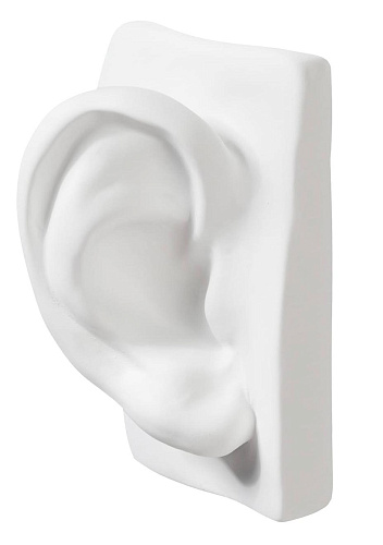 David Ear Sculpture