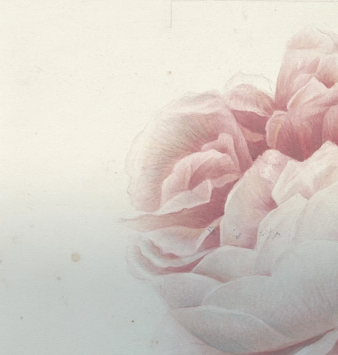 Romantic Flowers Wallpaper
