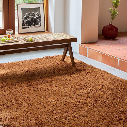 Terracotta Shag Rug