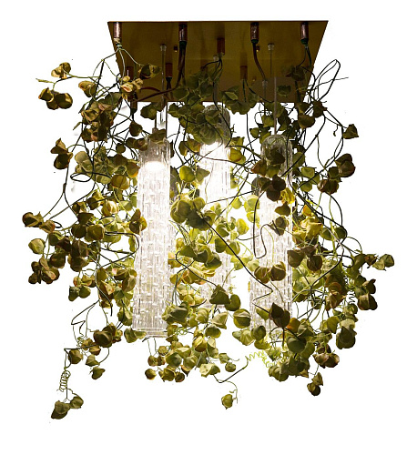 Physalis Chandelier