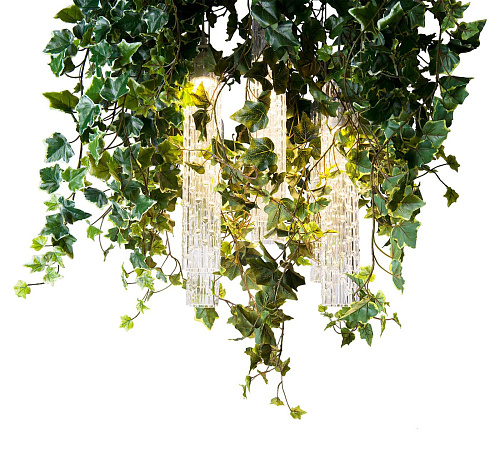 Ivy Chandelier