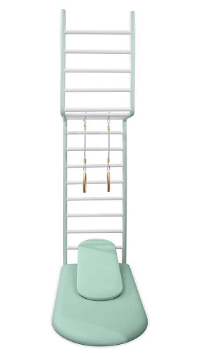 Wonderland Play Ladder