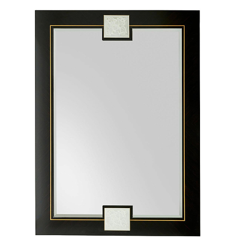 Ebony Brass Wall Mirror