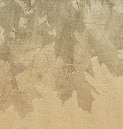 Creative Leaves Wallpaper