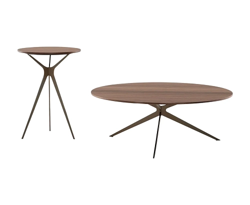 Tree Coffee Table