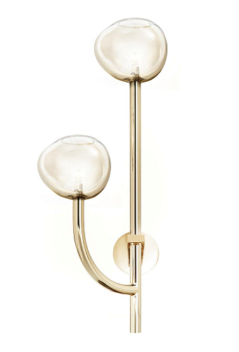 Honey Glass 2-Light Wall Lamp Soft Gold Finish