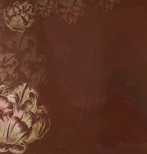 Chicory Wallpaper