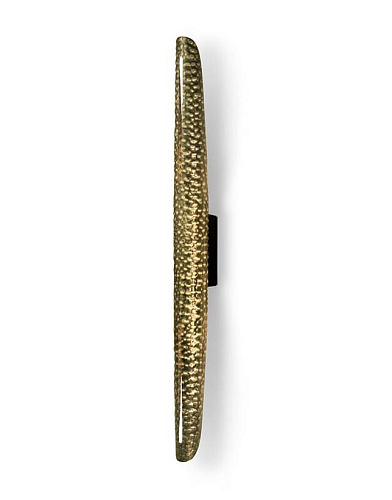 Fierce Brass Wall Light