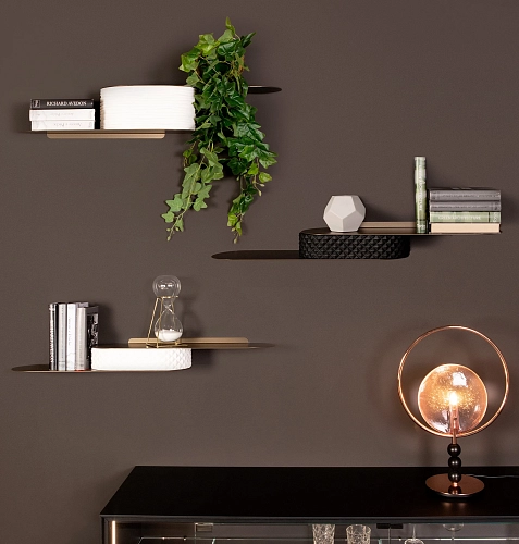Snowboard Shelf