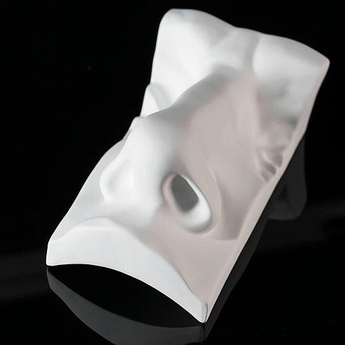 David Nose Sculpture
