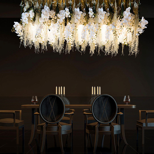Phalaenopsis Chandelier